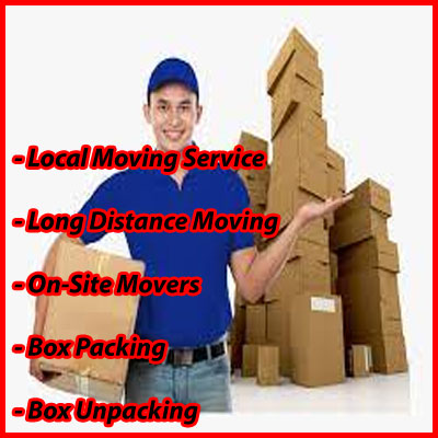 Packers And Movers Noida Sector 31